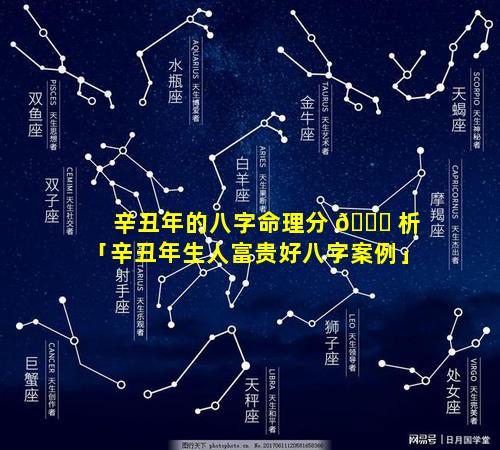 辛丑年的八字命理分 🐋 析「辛丑年生人富贵好八字案例」